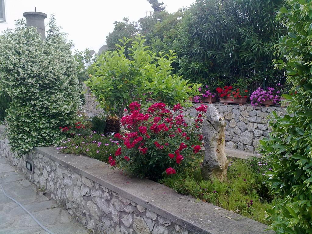 Il Merlo Anacapri  Exterior foto